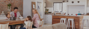 Knockdown Pest Control Sydney