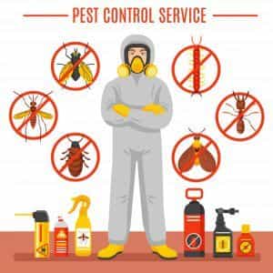 Knockdown Pest Control Sydney