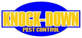 Knockdown Pest Control Sydney